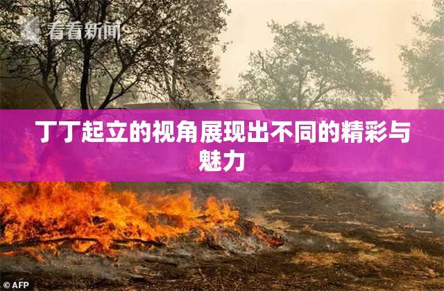 丁丁起立的视角展现出不同的精彩与魅力