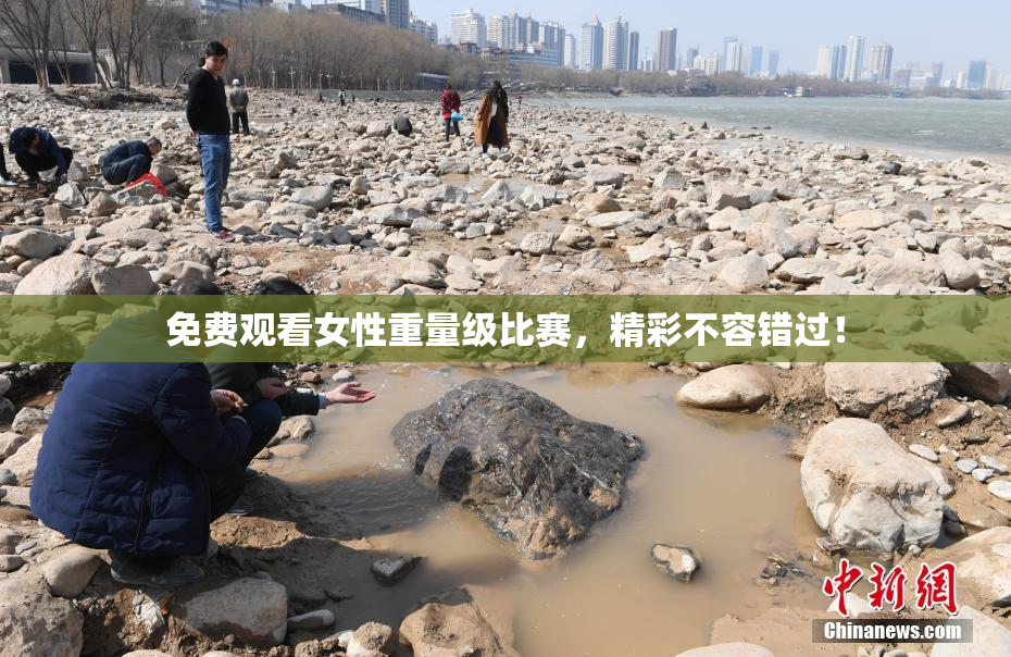 免费观看女性重量级比赛，精彩不容错过！