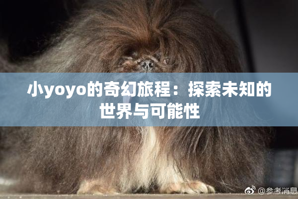 小yoyo的奇幻旅程：探索未知的世界与可能性