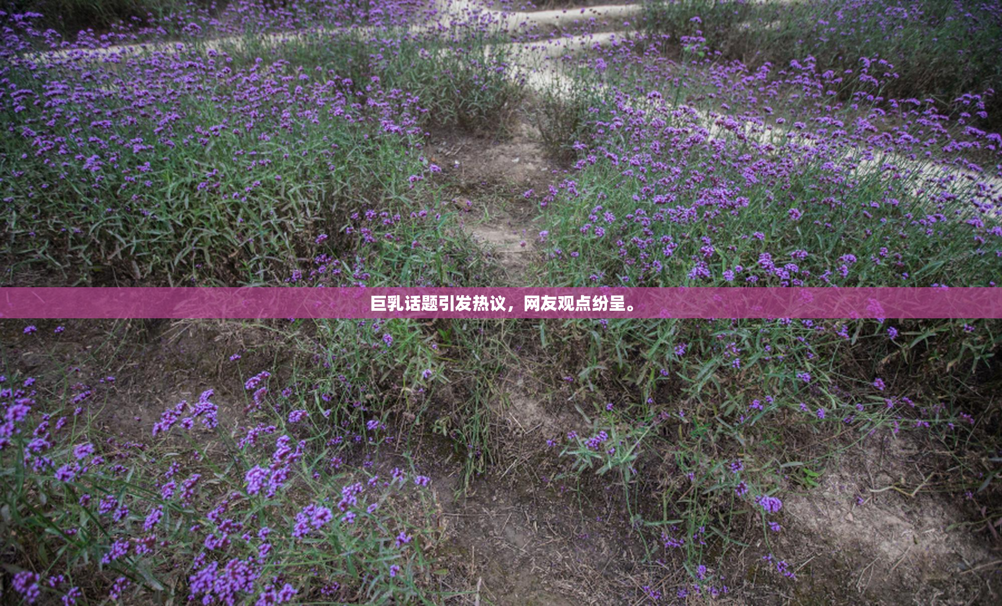 巨乳话题引发热议，网友观点纷呈。