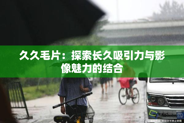久久毛片：探索长久吸引力与影像魅力的结合