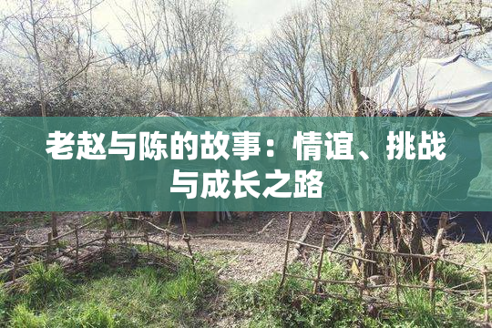 老赵与陈的故事：情谊、挑战与成长之路
