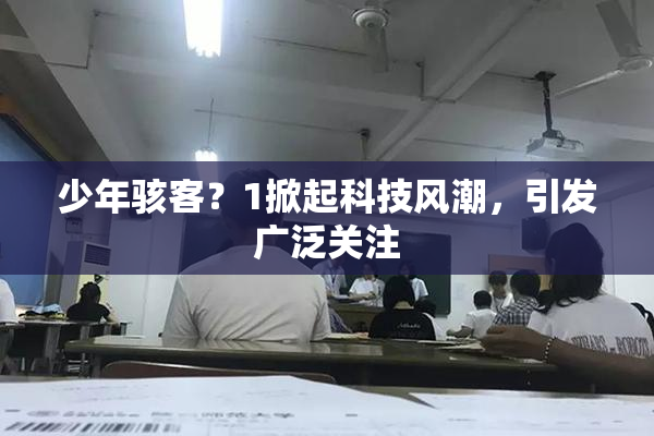 少年骇客？1掀起科技风潮，引发广泛关注