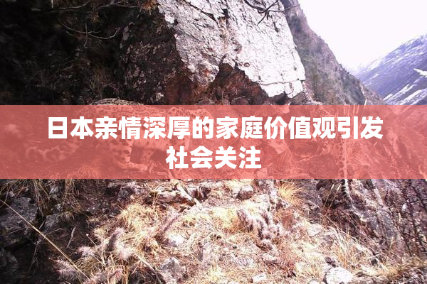 日本亲情深厚的家庭价值观引发社会关注