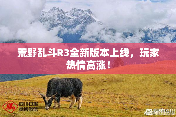 荒野乱斗R3全新版本上线，玩家热情高涨！