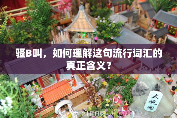 骚B叫，如何理解这句流行词汇的真正含义？