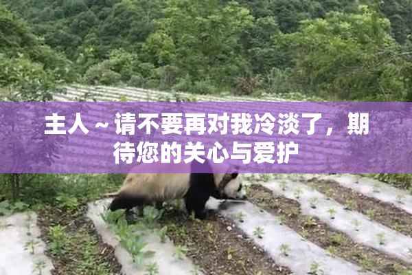 主人～请不要再对我冷淡了，期待您的关心与爱护