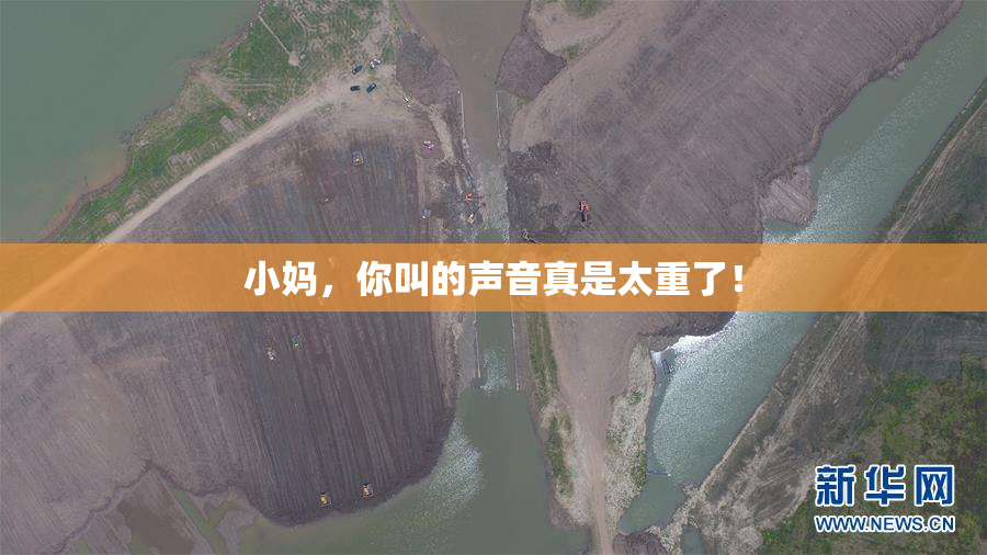 小妈，你叫的声音真是太重了！
