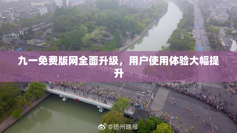 九一免费版网全面升级，用户使用体验大幅提升