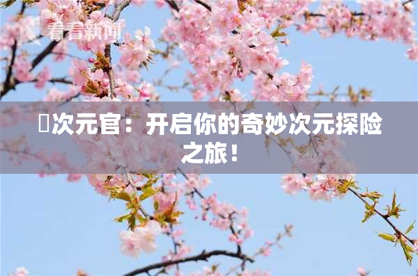 囧次元官：开启你的奇妙次元探险之旅！