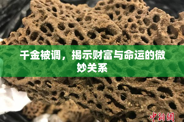 千金被调，揭示财富与命运的微妙关系