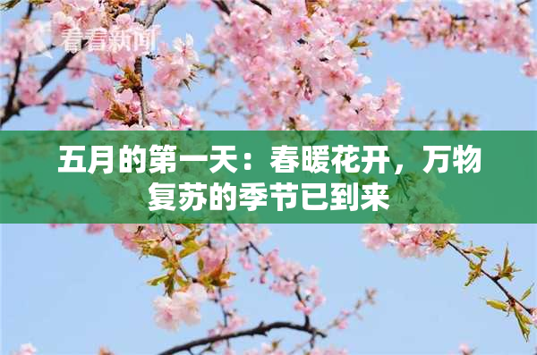 五月的第一天：春暖花开，万物复苏的季节已到来