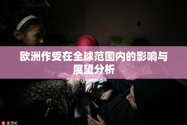 欧洲作受在全球范围内的影响与展望分析