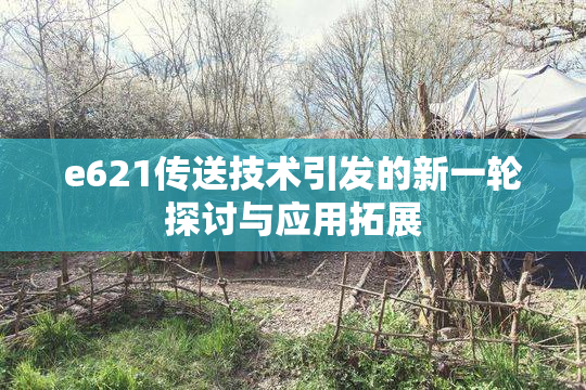 e621传送技术引发的新一轮探讨与应用拓展