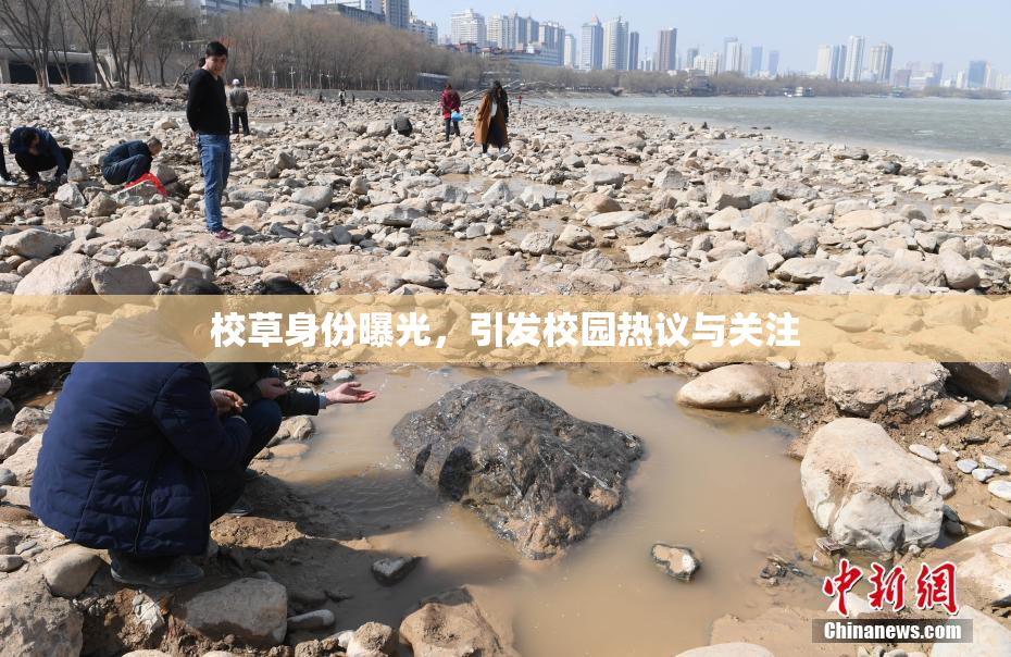 校草身份曝光，引发校园热议与关注
