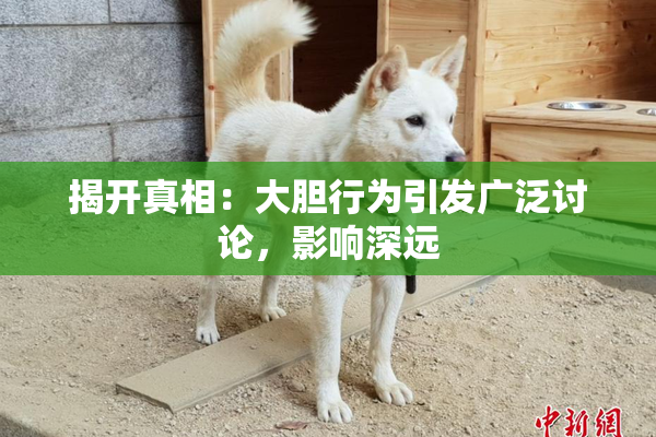 揭开真相：大胆行为引发广泛讨论，影响深远