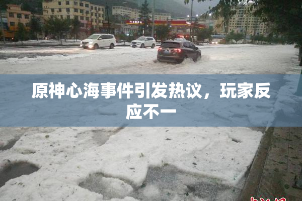 原神心海事件引发热议，玩家反应不一