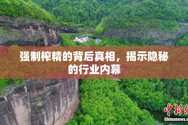 强制榨精的背后真相，揭示隐秘的行业内幕