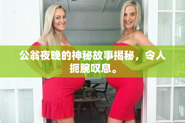 公翁夜晚的神秘故事揭秘，令人扼腕叹息。