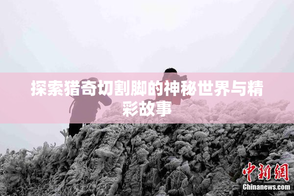 探索猎奇切割脚的神秘世界与精彩故事