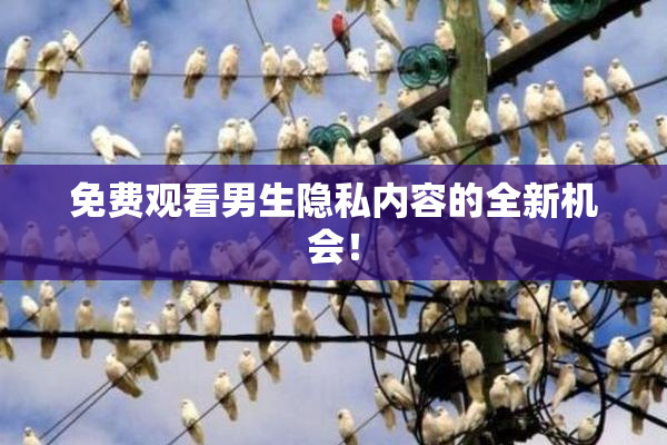 免费观看男生隐私内容的全新机会！