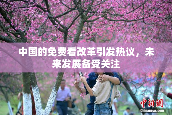 中国的免费看改革引发热议，未来发展备受关注