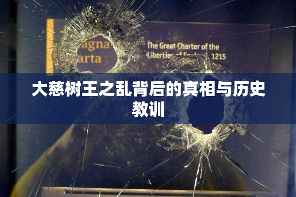 大慈树王之乱背后的真相与历史教训