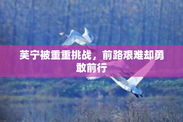 芙宁被重重挑战，前路艰难却勇敢前行