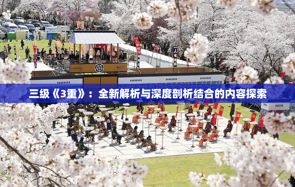 三级《3重》：全新解析与深度剖析结合的内容探索