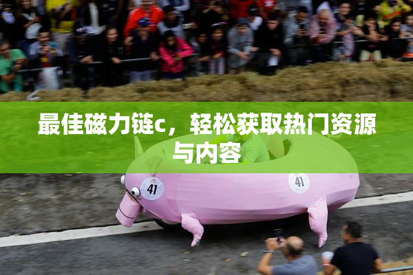 最佳磁力链c，轻松获取热门资源与内容