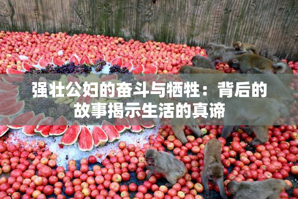 强壮公妇的奋斗与牺牲：背后的故事揭示生活的真谛