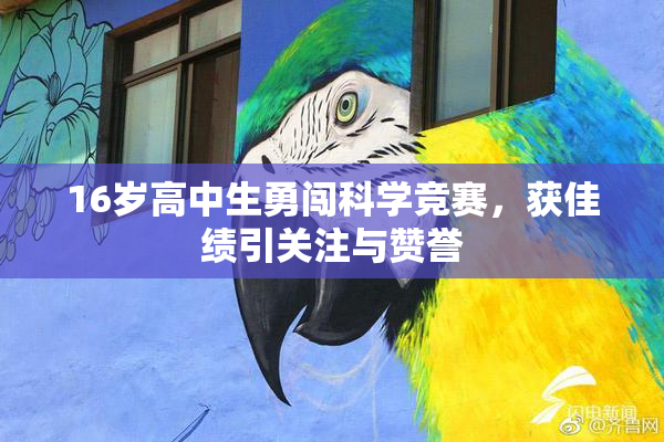16岁高中生勇闯科学竞赛，获佳绩引关注与赞誉