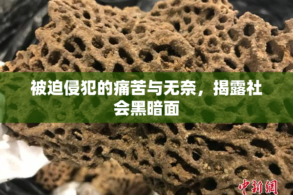 被迫侵犯的痛苦与无奈，揭露社会黑暗面
