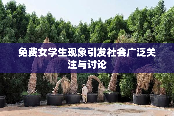 免费女学生现象引发社会广泛关注与讨论