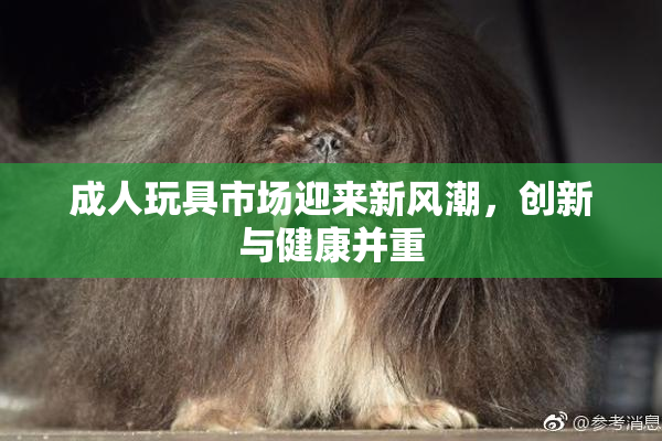 成人玩具市场迎来新风潮，创新与健康并重