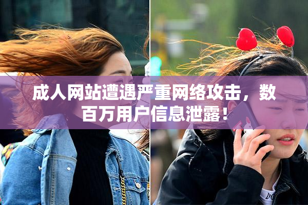 成人网站遭遇严重网络攻击，数百万用户信息泄露！