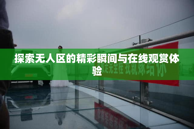 探索无人区的精彩瞬间与在线观赏体验