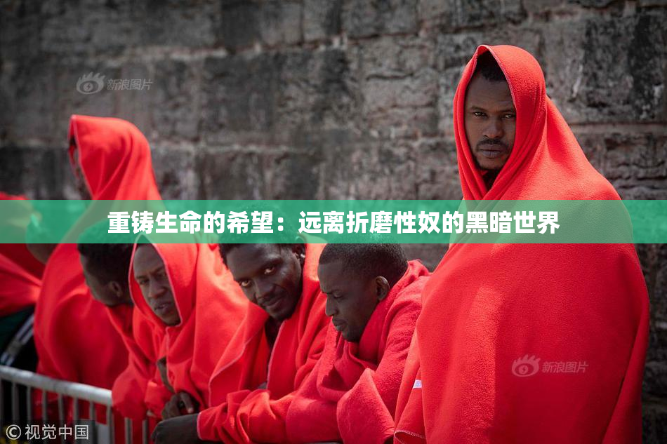重铸生命的希望：远离折磨性奴的黑暗世界