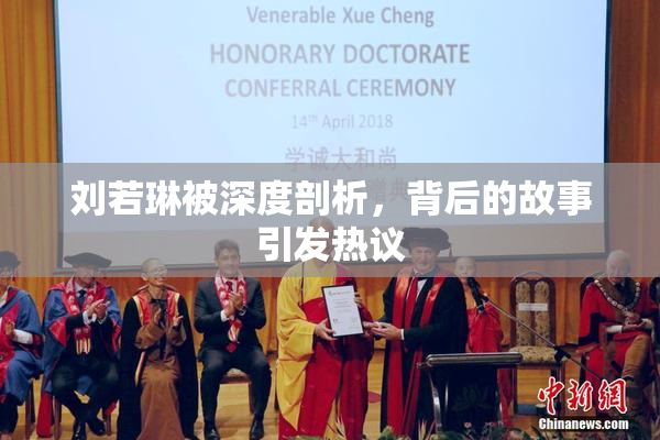 刘若琳被深度剖析，背后的故事引发热议