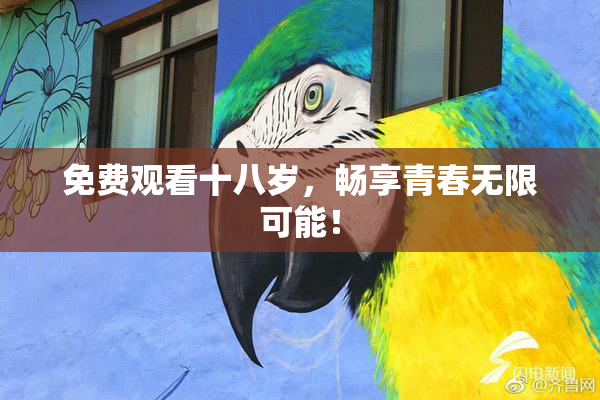 免费观看十八岁，畅享青春无限可能！