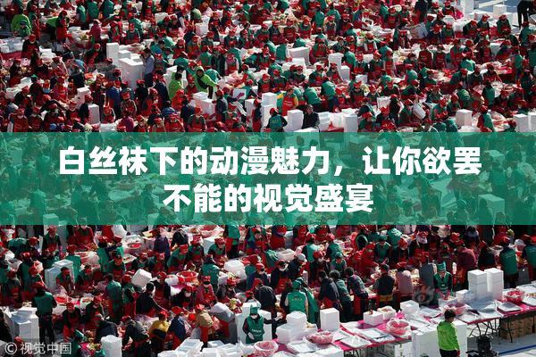 白丝袜下的动漫魅力，让你欲罢不能的视觉盛宴