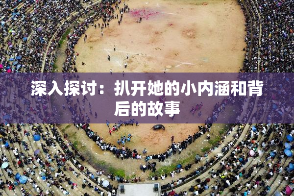 深入探讨：扒开她的小内涵和背后的故事