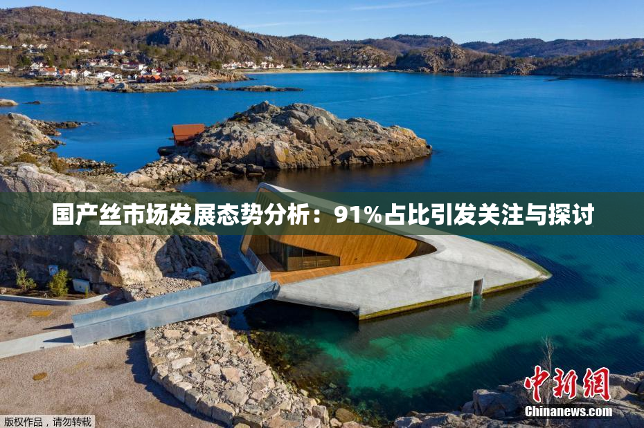 国产丝市场发展态势分析：91%占比引发关注与探讨