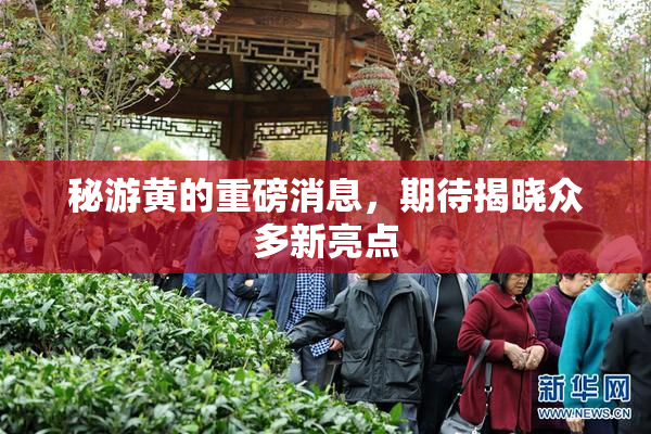 秘游黄的重磅消息，期待揭晓众多新亮点