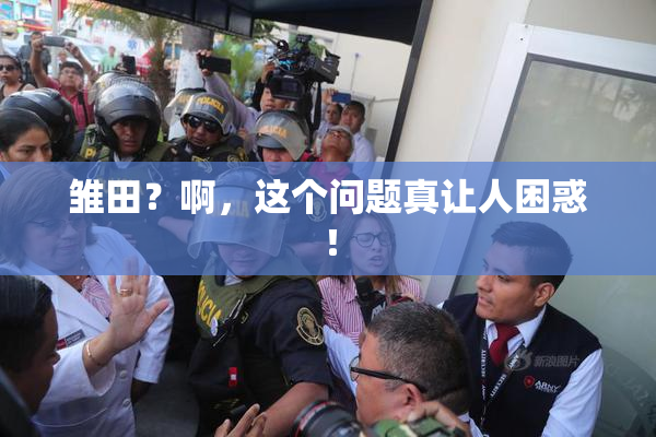 雏田？啊，这个问题真让人困惑！