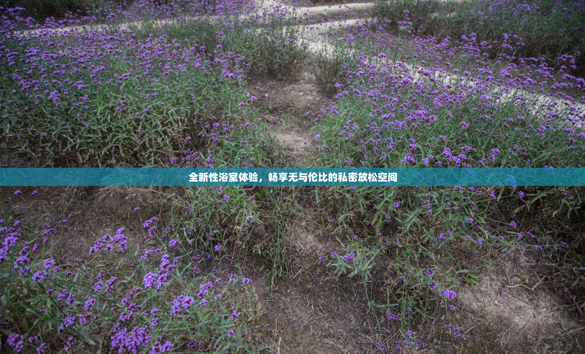 全新性浴室体验，畅享无与伦比的私密放松空间