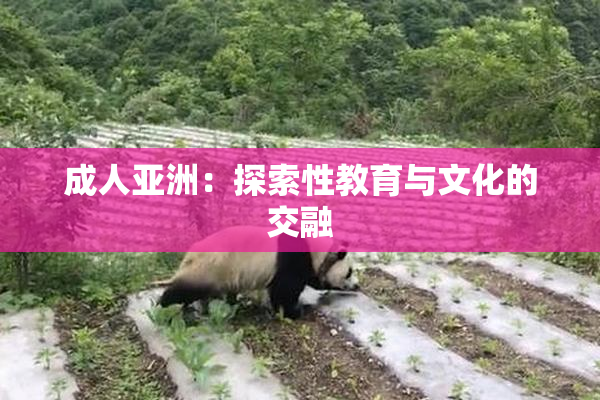 成人亚洲：探索性教育与文化的交融