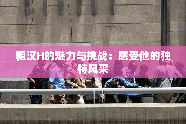粗汉H的魅力与挑战：感受他的独特风采