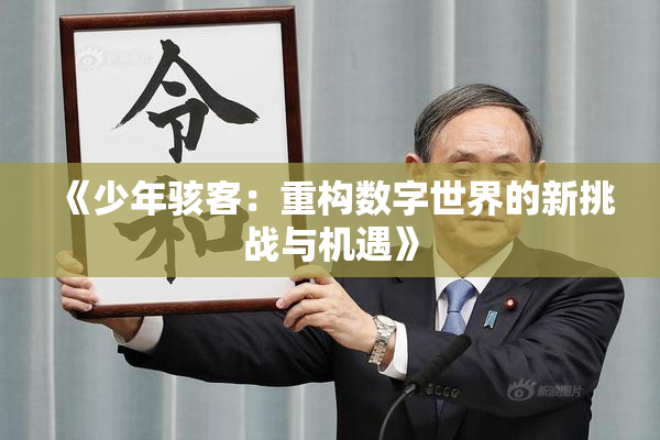 《少年骇客：重构数字世界的新挑战与机遇》