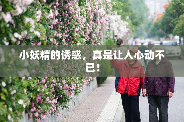 小妖精的诱惑，真是让人心动不已！